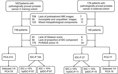 Radiomic Machine Learning and External Validation Based on 3.0 T mpMRI for Prediction of Intraductal Carcinoma of Prostate With Different Proportion